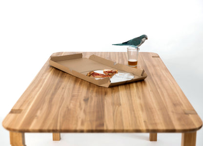 Dining table and a parrot